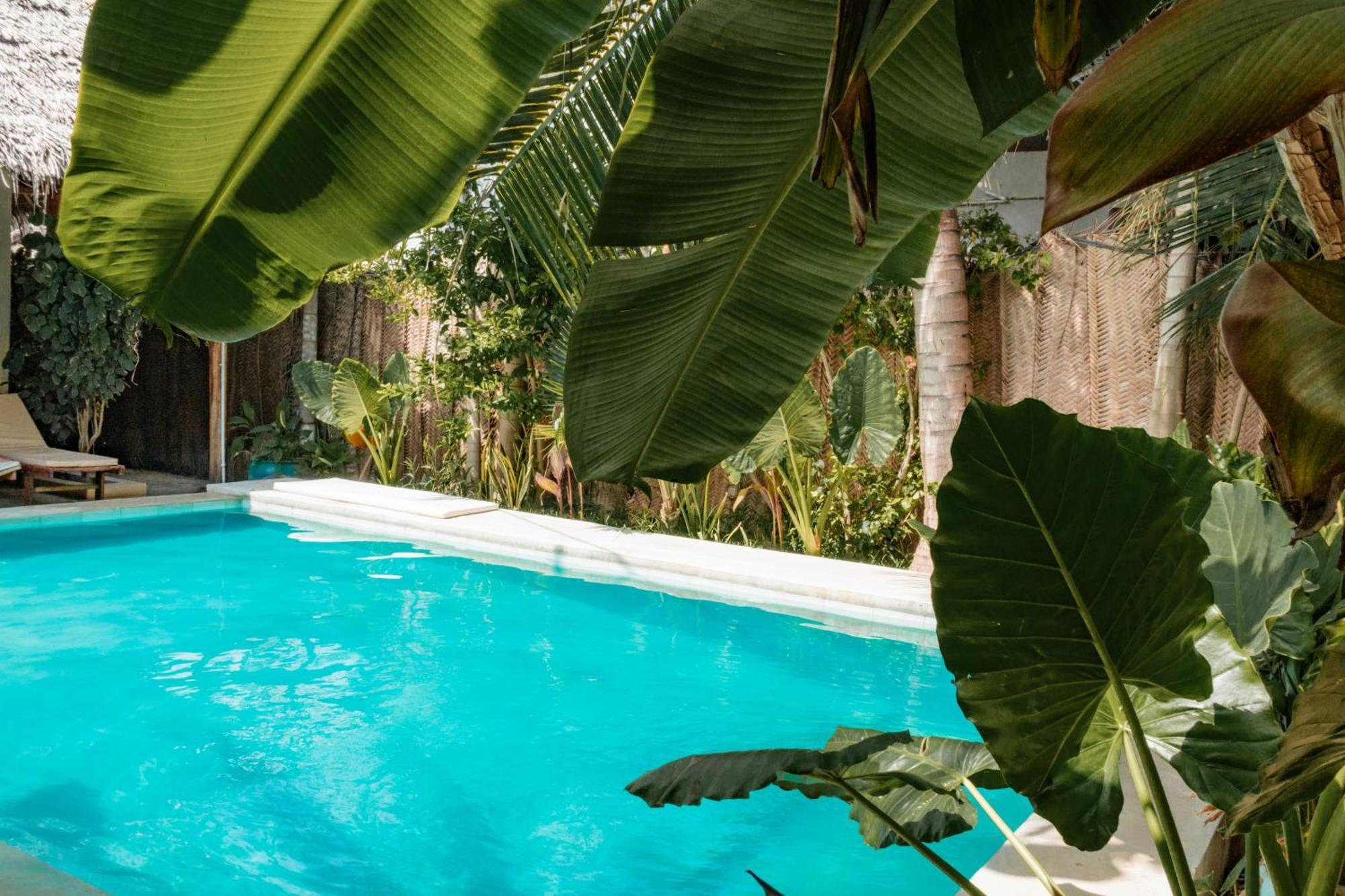 Pili Pili Palm Beach Jambiani  Bagian luar foto